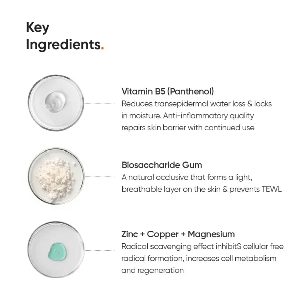 Minimalist Vitamin B5 Oil-Free Moisturizer 30g (3) Minimalist Vitamin B5 Oil-Free Moisturizer 30g (3)
